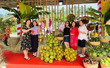 Nhiều hoạt động hấp dẫn tại Lễ hội trái cây, ẩm thực Lâm Sơn