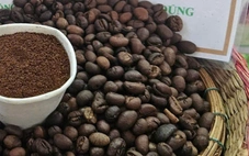 Giá cà phê biến động trái chiều hậu Mỹ áp thuế Brazil, giá hồ tiêu quay đầu giảm