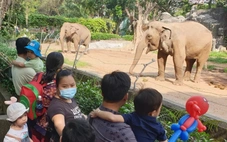 Vài vết muỗi đốt cũng đủ gây sốt xuất huyết, 5 mẹo đơn giản khi đi chơi, đi cắm trại cần biết