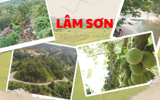 Lâm Sơn - Bản giao hoà giữa trái ngọt và tình người