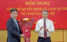 Ông Nguyễn Thanh Bình làm phó trưởng Ban Tổ chức Trung ương