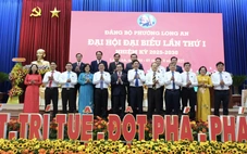 Phường Long An phấn đấu tăng thu nhập bình quân đầu người 40-45% trong 5 năm tới