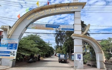 Giảng viên bị trường nợ tiền dạy cả chục năm, chủ tịch Quảng Ngãi yêu cầu giải quyết