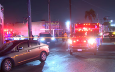 Xả súng sau lễ hội âm nhạc ở Los Angeles: 2 người chết, 6 người bị thương