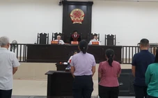 Vụ cựu giám đốc Cảng vụ Quảng Nam lập khống hồ sơ: Trả hồ sơ điều tra bổ sung