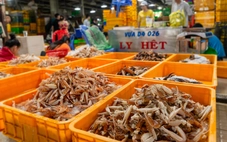 Chợ Bình Điền triển khai loạt giải pháp đổi mới, nâng cấp mô hình truyền thống