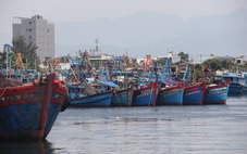 Xử lý tàu cá '3 không', có nơi phạt ngư dân tới 10 tỉ đồng