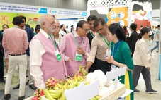 Hơn 300 nhà mua hàng 'đổ bộ' Việt Nam: Bộ Công Thương nói gì về cơ hội?