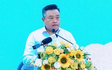 Chủ tịch Hà Nội: Tưới rửa mặt đường, phun sương dập bụi tại các tuyến phố để bảo vệ môi trường