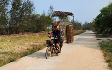 Con đường 3,8 tỉ 'rút ruột' hơn 1 tỉ, thêm 3 người bị khởi tố