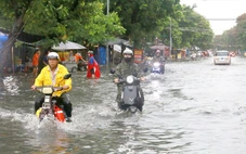 Làm Ngọc Hoàng cũng khổ