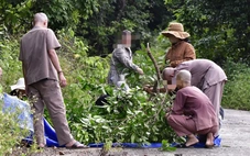 Bẻ cành cây trên bán đảo Sơn Trà - Đà Nẵng, một người đàn ông bị phạt 1,25 triệu đồng
