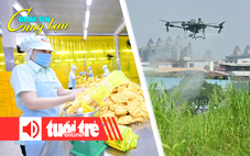 Điểm tin 8h: Tiếp tục đàm phán, ứng phó chính sách thuế Mỹ; Cấp tập chống vi rút chikungunya