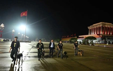 Xem cảnh sát sử dụng chó nghiệp vụ kiểm tra vật liệu nổ, bảo vệ an ninh trật tự A80