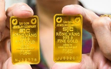 Giá vàng miếng SJC giảm nửa triệu đồng/lượng