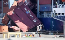 Mỹ: Hàng chục container trượt khỏi tàu khiến cảng lớn bị tê liệt
