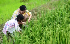 Cho tôi mua một vé đi... chữa lành