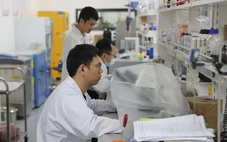 Liên tiếp nhà khoa học trẻ qua đời, lộ 'góc tối' giới học thuật Trung Quốc