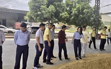 PVCFC tăng tốc mở rộng thị phần tại Campuchia