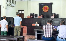 Trưởng thôn không tư lợi vẫn bị phạt tù