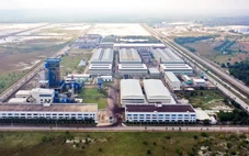 Muốn tồn tại phải chuyển đổi xanh