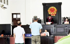 Trưởng thôn không tư lợi vẫn bị phạt tù