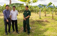 Vụ xe tải lao vào chợ khiến 3 người chết: Tuần tới sẽ có chợ tạm sau 13 năm không thể thực hiện