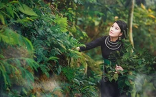 Cây dược liệu giúp người đồng bào vùng cao thoát nghèo