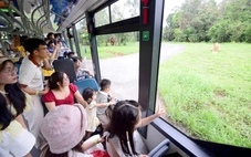 Bữa cơm không điện thoại, tại sao không?