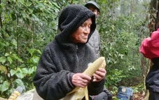 Tìm thấy cụ ông 78 tuổi lạc 7 ngày trong rừng sâu ở Đà Lạt