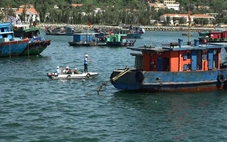 Hải Phòng cấm biển từ 14h ngày 24-9 để phòng chống bão Ragasa