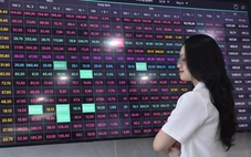 Chi nghìn tỉ mua cổ phiếu vùng giá cao, ái nữ sếp VPBank đang lỗ bao nhiêu?