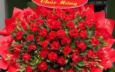 Đại hội Đảng bộ tỉnh Quảng Trị không văn nghệ, không nhận hoa chúc mừng
