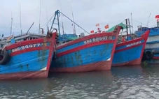 Vi phạm IUU, 4 thuyền trưởng tàu cá ở Quảng Ngãi bị phạt gần 900 triệu đồng