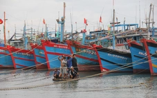 Còn hàng trăm tàu cá vẫn hoạt động trên biển, Đà Nẵng gấp rút gọi vào bờ trú bão