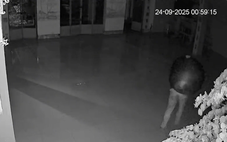Chùa mất chuông, đăng clip lên mạng mong kẻ trộm 'sớm thức tỉnh'
