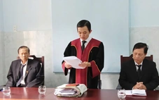 Vụ từ chối nhận hàng sai mẫu mã, xuất xứ nhưng 'lỡ' sử dụng: Rita Võ thắng kiện khách hàng
