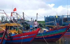 Tàu thuyền tránh bão Bualoi về đậu kín cảng cá