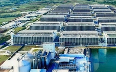 Chính thức ký với đối tác Trung Quốc thực hiện mô hình nuôi heo trong nhà cao tầng