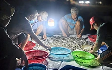 Chợ cá lúc bình minh ven biển Đà Nẵng