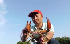 Định vị thương hiệu du lịch Cà Mau