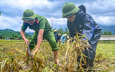Công an Thanh Hóa gặt lúa giúp dân, hỗ trợ dân đi tránh bão số 10