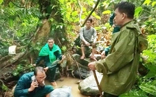 Không có phép màu nào cho người mất tích khi vào rừng tìm tổ ong