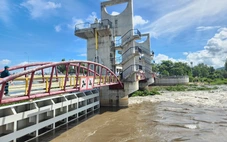 Lũ ở Đồng bằng sông Cửu Long đang lên, đầu tháng 10 sẽ có đợt lũ vượt báo động 1