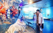 Khám phá không gian sinh vật đại dương dưới độ sâu đến 6.000m ở Nha Trang