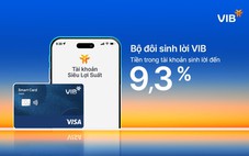 Bộ đôi Sinh lời VIB xuất hiện cùng Anh Trai Say Hi