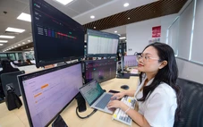 Dòng tiền cuồn cuộn vào chứng khoán rồi giờ đi đâu?