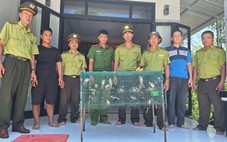 Bán 40 con chim trên mạng, bị kiểm lâm mật phục bắt phạt
