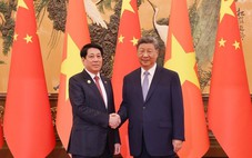 Chủ tịch nước Lương Cường hội đàm Tổng Bí thư, Chủ tịch nước Trung Quốc Tập Cận Bình