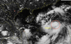 Dự báo tối nay, bão Tapah hình thành trên Biển Đông, cường độ cực đại có thể đạt cấp 10